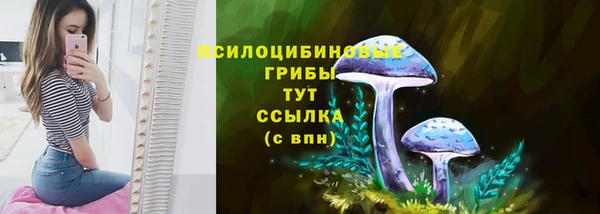 соль ск Вязники
