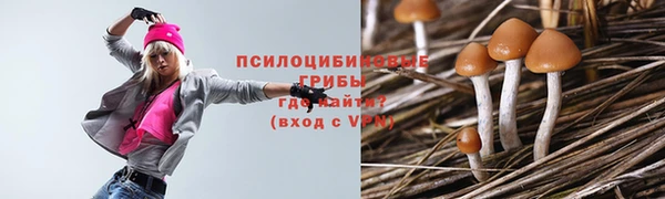 гашик Вязьма