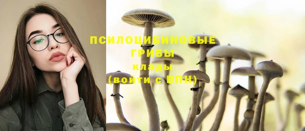 соль ск Вязники