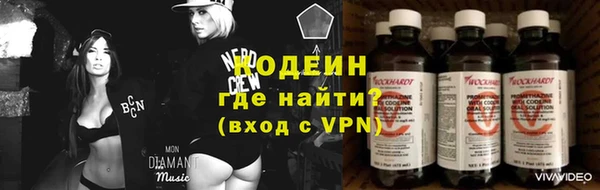 гашик Вязьма