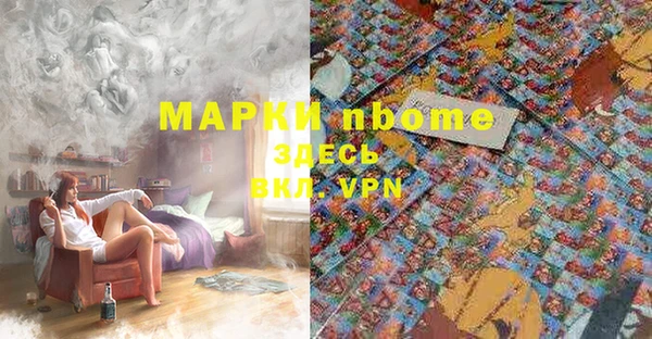 гашик Вязьма