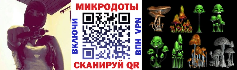 Галлюциногенные грибы Psilocybine cubensis  Купить закладки  Богданович 